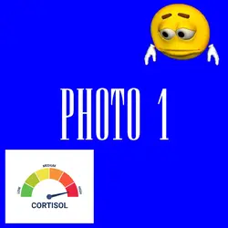 Low Cortisol Trend