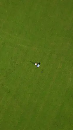 Drone aerial 