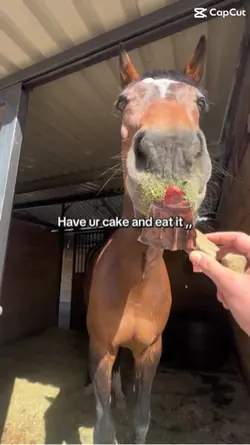 happy birthday harlo