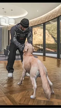 dog flex 