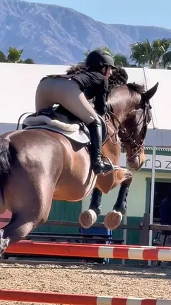 Let’s watch the rain