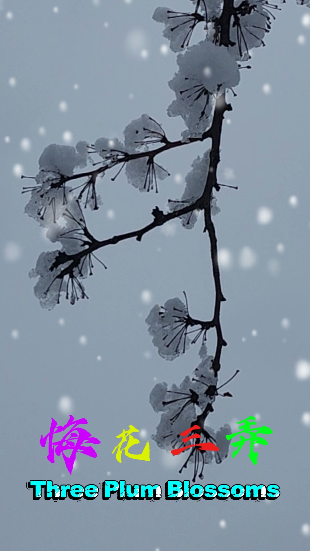 Three Plum Blossoms悔