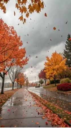 🍂🍁