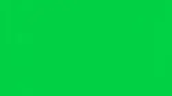 Green screen 