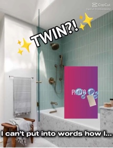 Twin