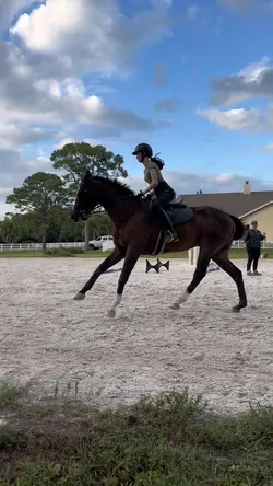 flying changee⚠️FAKE⚠️