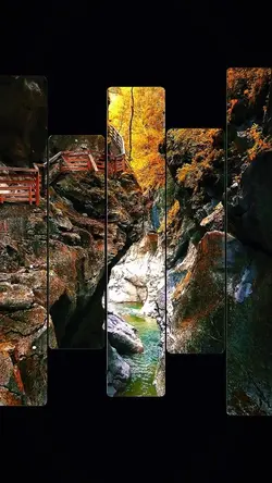 5 videos or photos