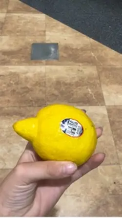 #LEMONπ