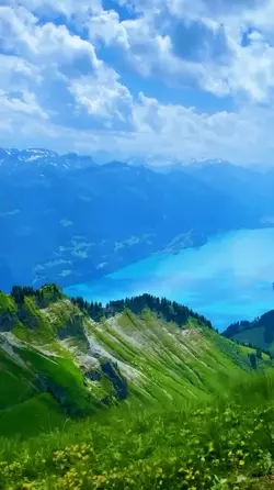 Nature vibes