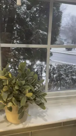 Cozy Wellness Tea Ri