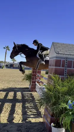 Condo in manhattan🏠