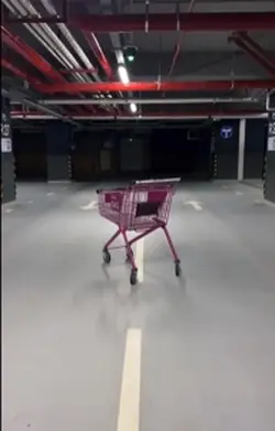 Shopping car edit