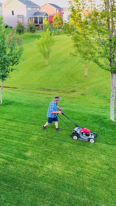 Gardening
