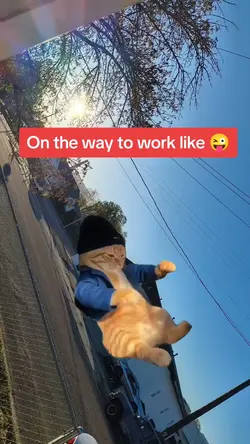 work life