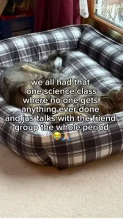 Science class