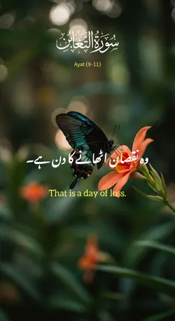 quran Urdu translati