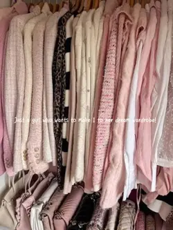 Dream wardrobe 