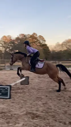 I RODE MY GURL TODAY