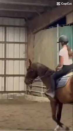 Riding Dylan’s horse