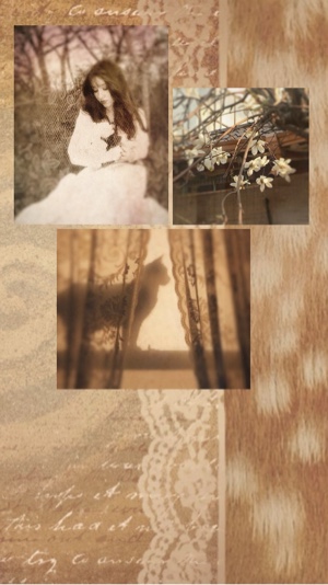 4 collage