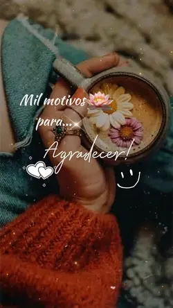 Frases 🙏✨💞💕