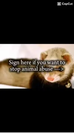 SIGN HERE