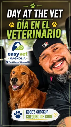 Easyvet magnoli