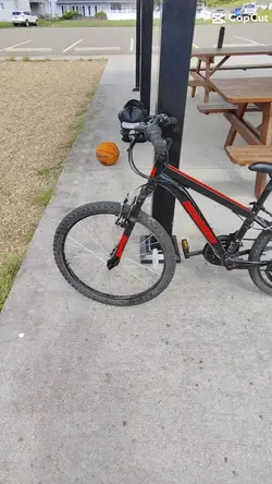 bike life