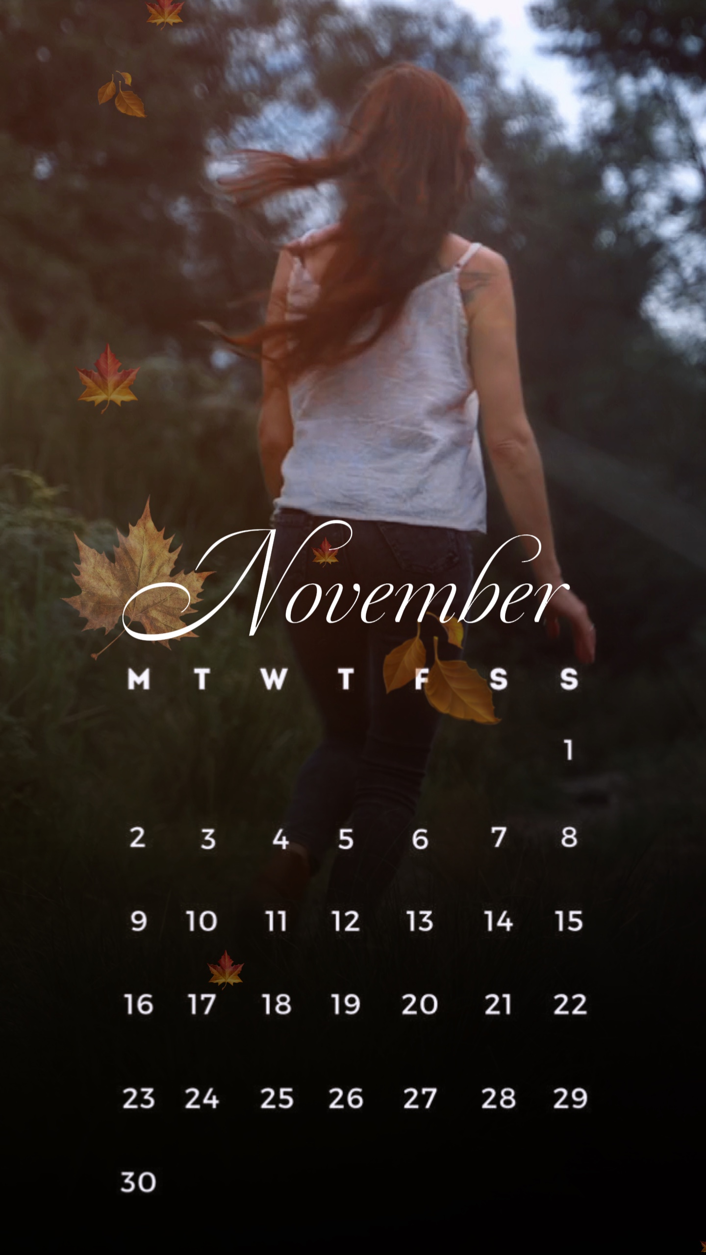 November Wallpaper 