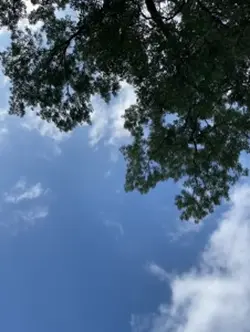 BIRTHDAY REVEAL
