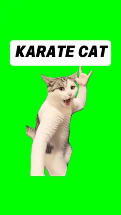 KARATE CAT