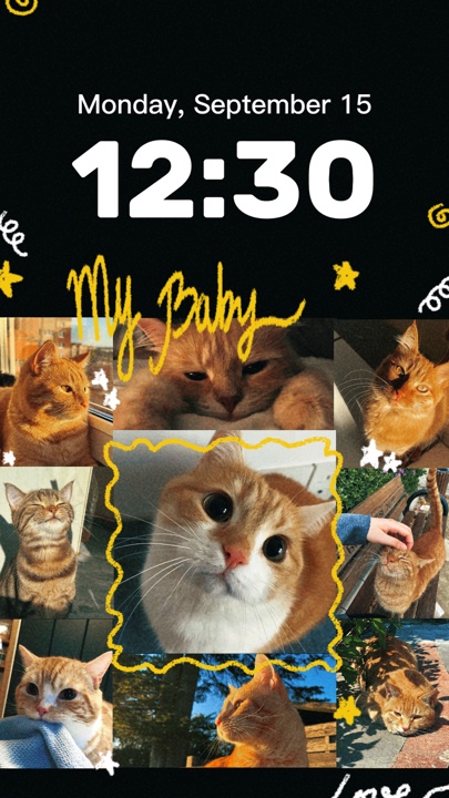 Cover Picture
