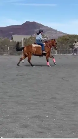 Horse edit slomo