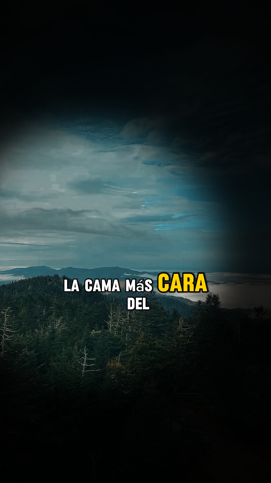 Agradece 