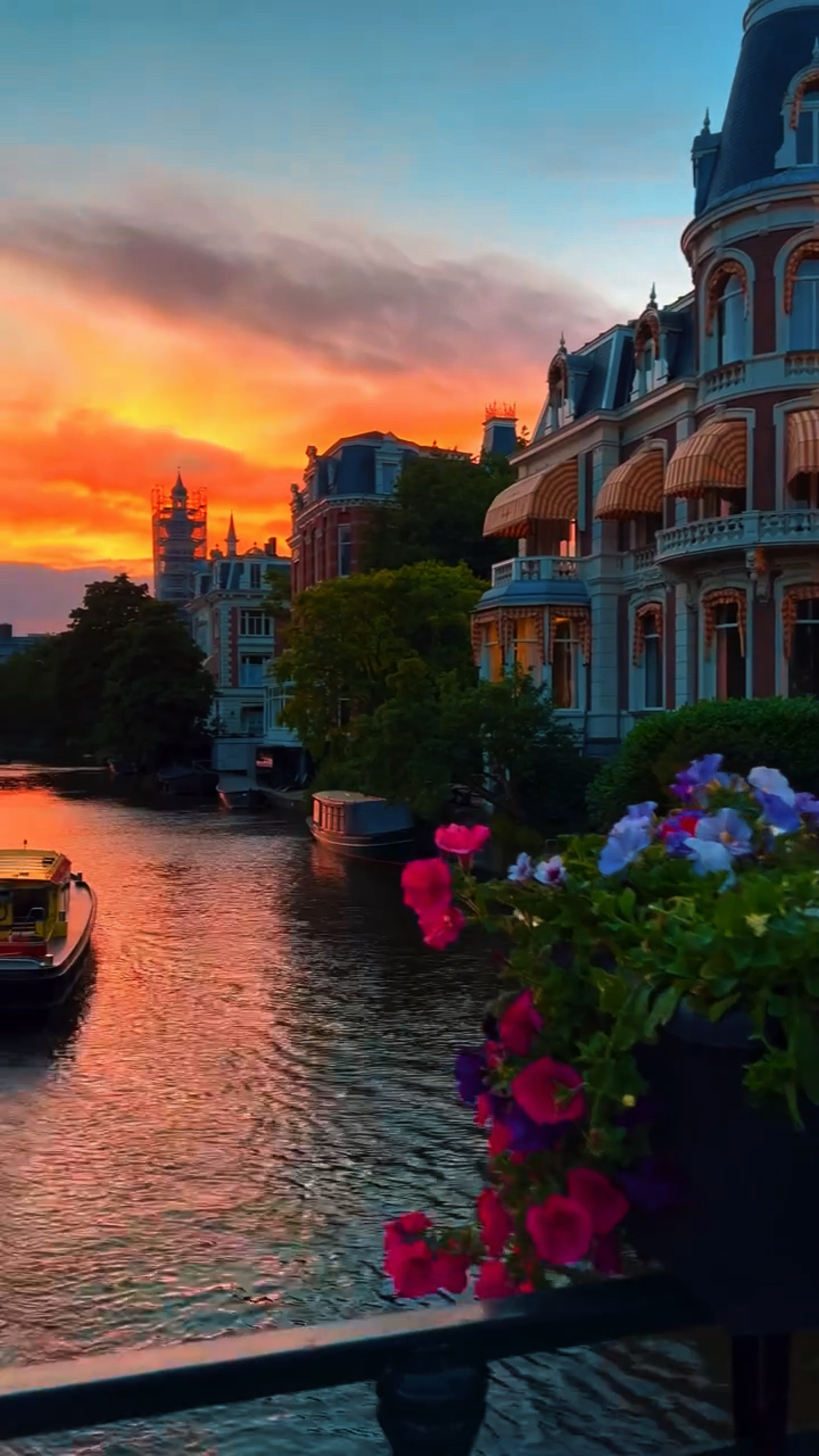 5 video o foto 