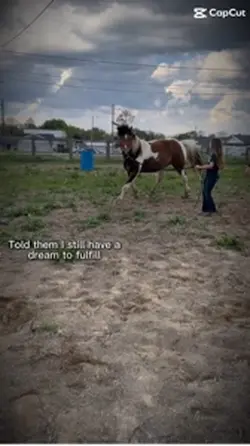 dream job