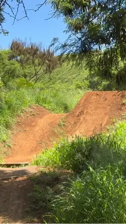 Mtb clips