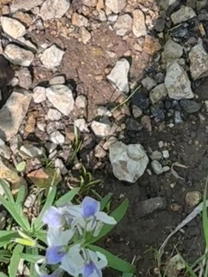 Spitznamen, die ich für