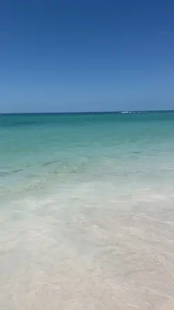 Relax