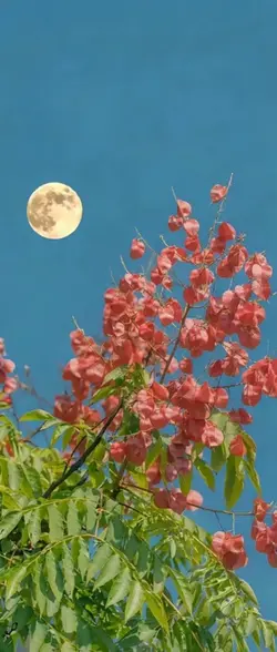 3D wallpaper