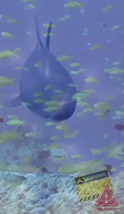 Hungry Shark