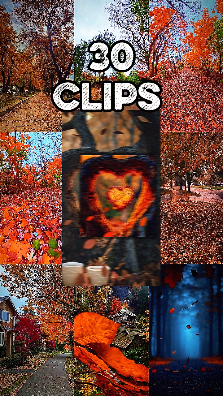30 vidéos ou photos 