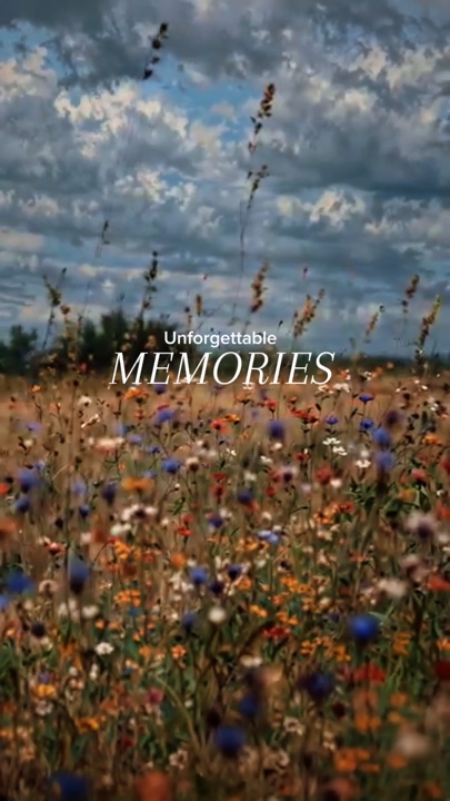 Memories 