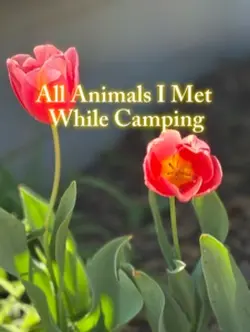 Camping on a farm