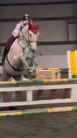 Horse jumping slowmo