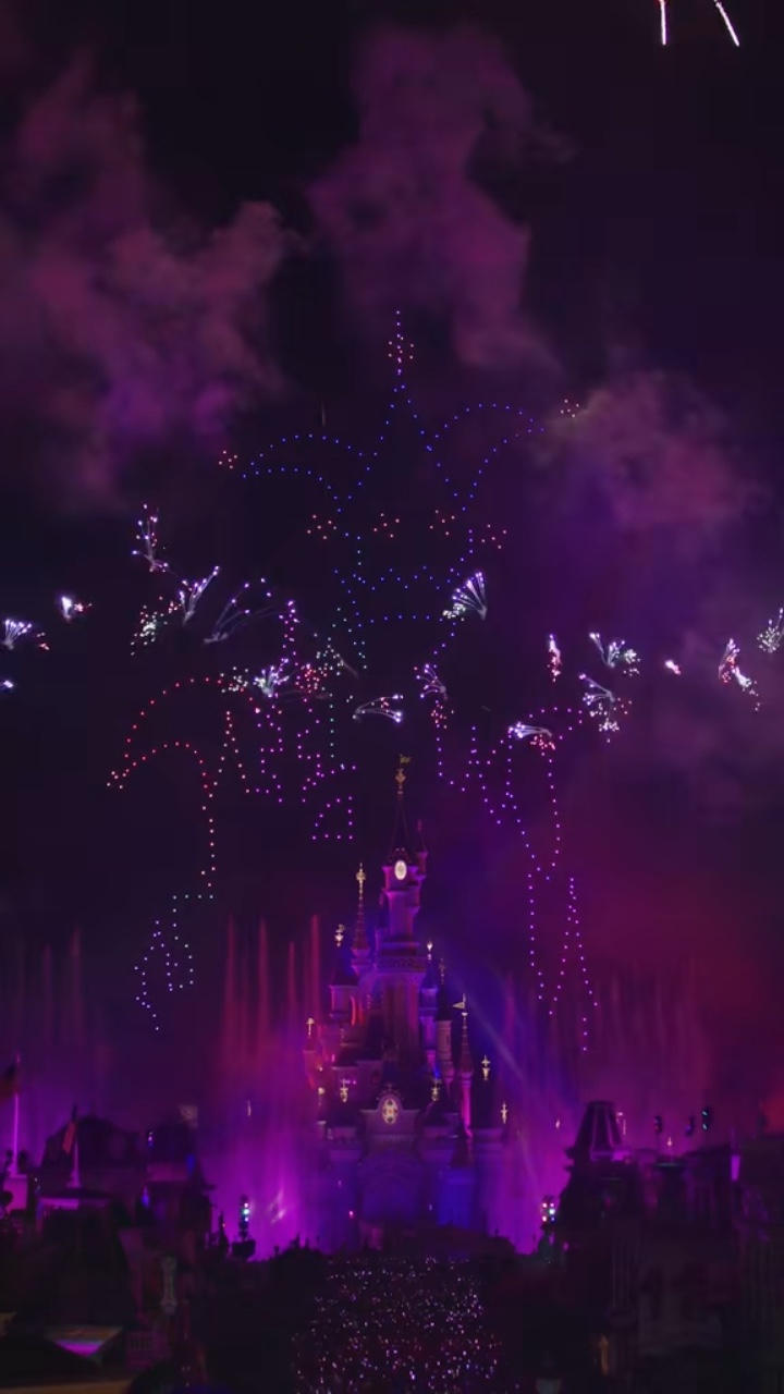 disneyland trip