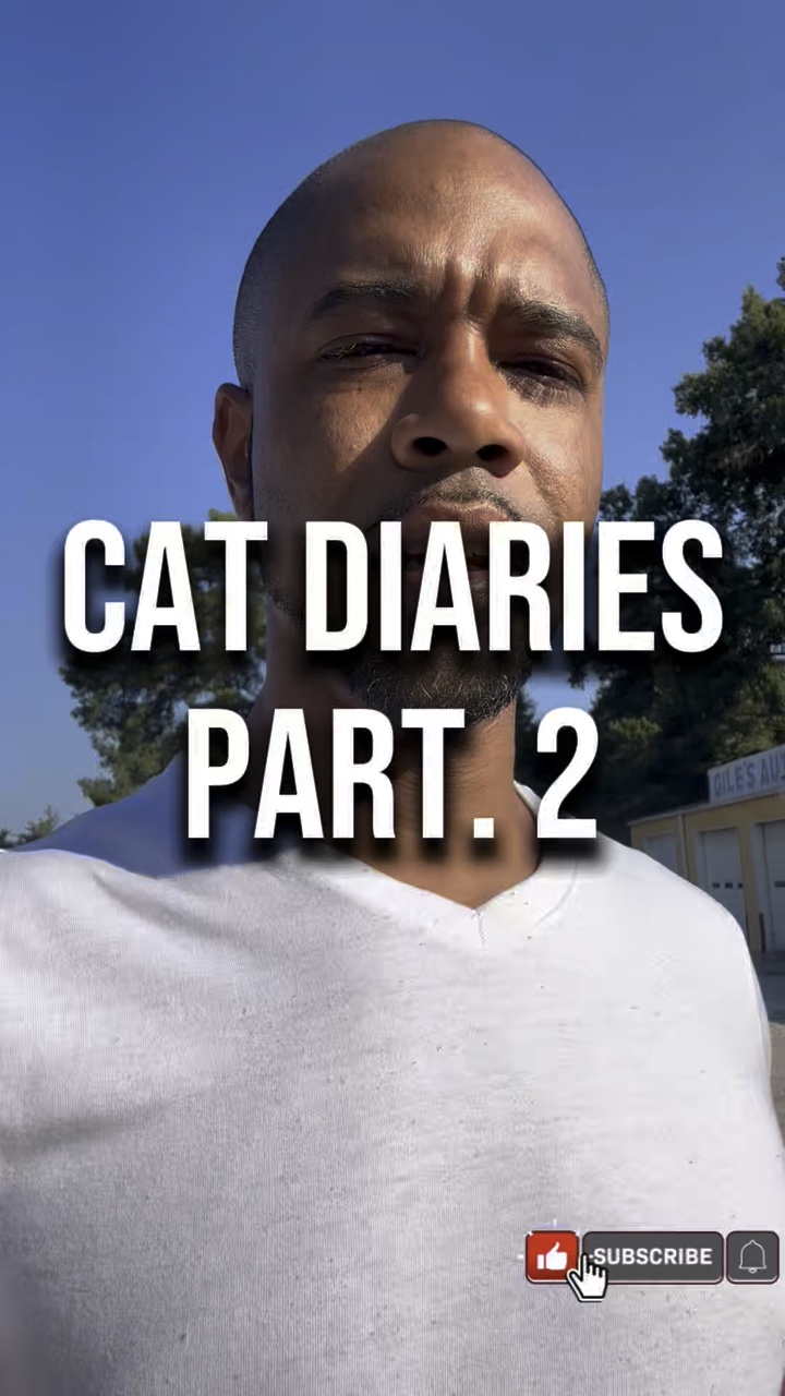 Cat Diaries 