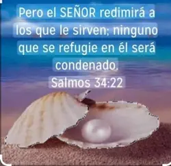 Santo