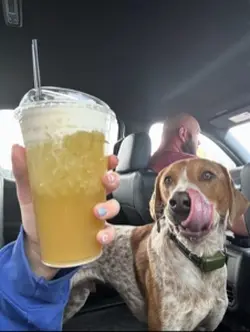 Drink dummmpppp