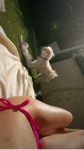 Agradecimiento de mamá perro